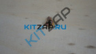 ���� �4,8�9,5 �������������� (� �������������� ������ ��������)